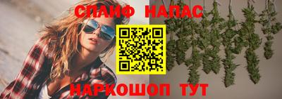 гидра Камышлов