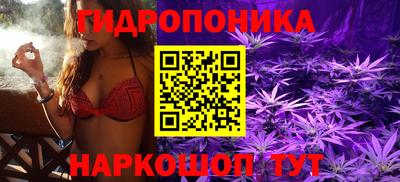 гидра Камышлов