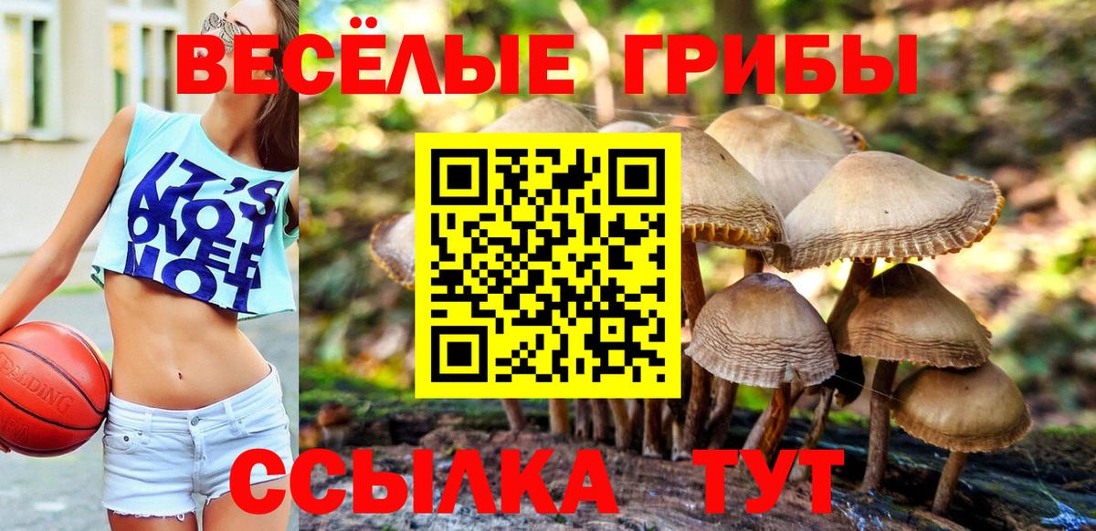 Красный Сулин  Галлюциногенные грибы Psilocybine cubensis  Вход с VPN 