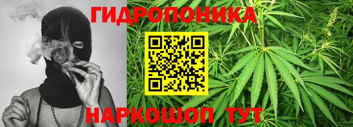 МАРИХУАНА планчик  Бошки Шишки VHQ  Красный Сулин  Вход с VPN 